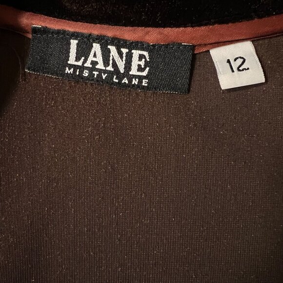 Vtg Misty Lane Brown Velvet Maxi Dress Goth Buttons Long Sleeves Sz 12 Darts USA - Picture 12 of 15